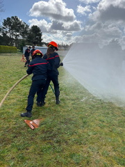 8575cc5d-c5ae-4363-8db3-7878380881b3